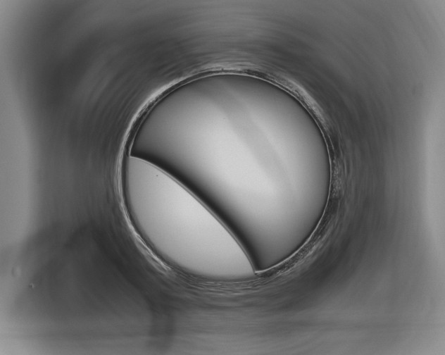 X0000116580795200912101308