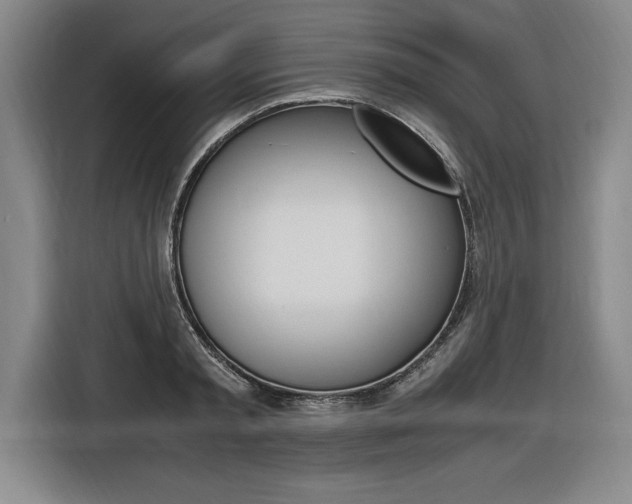 X0000116580797200912101308