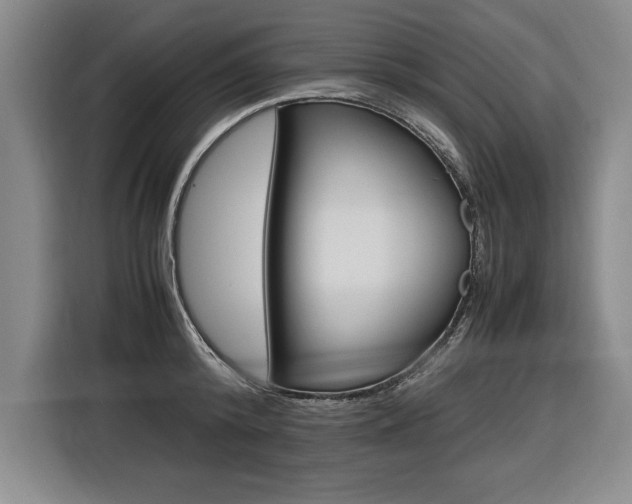 X0000116580800200912101308