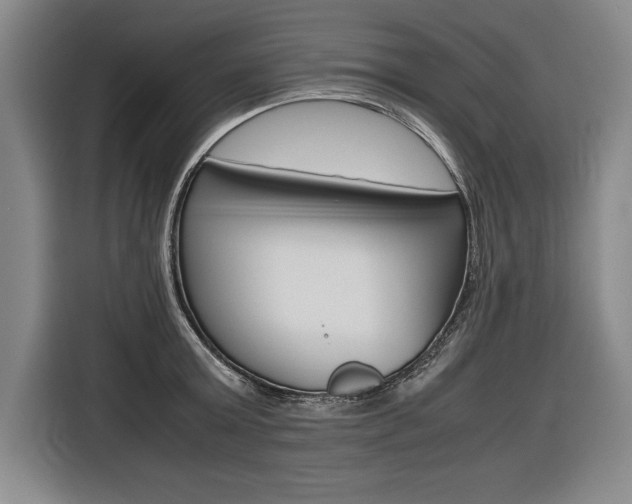 X0000116580803200912101308