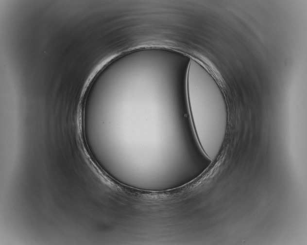 X0000116580804200912101308