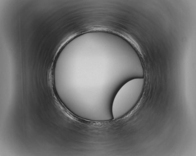 X0000116580806200912101308