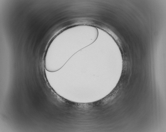 X0000116580807200912101308