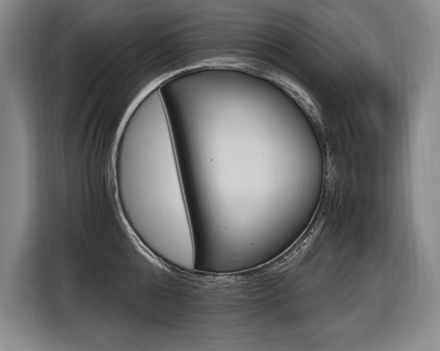 X0000116580808200912101308