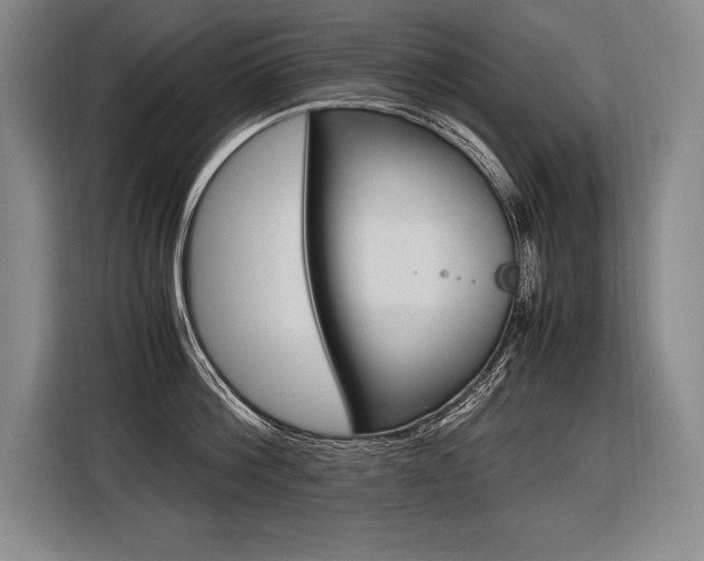 X0000116580812200912101308