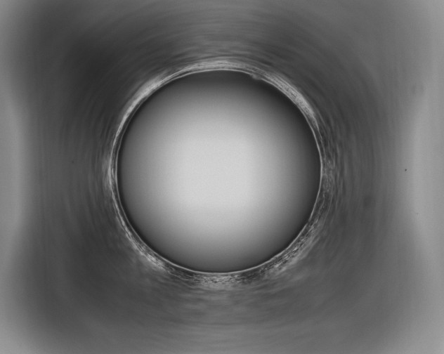 X0000116580813200912101308