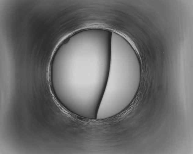 X0000116580815200912101308