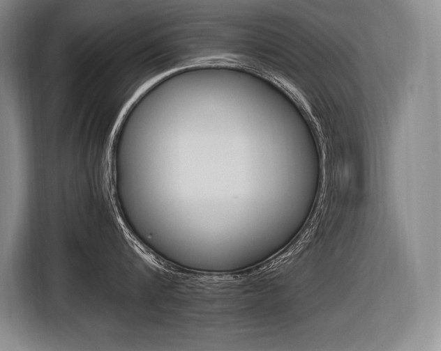 X0000116580816200912101308