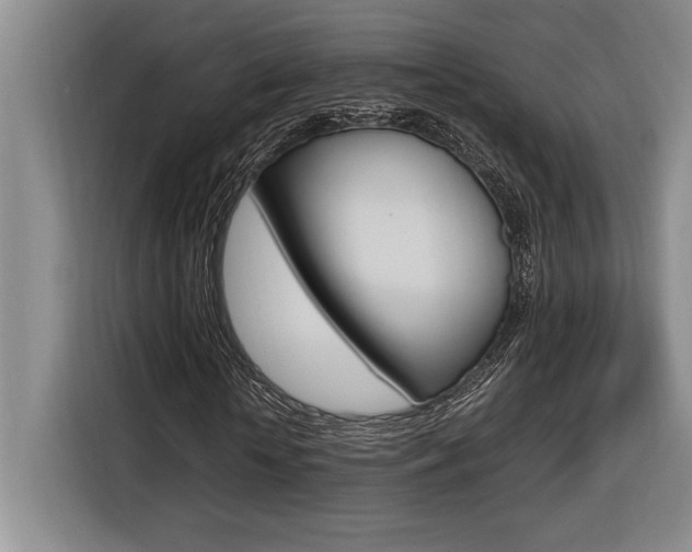 X0000116580818200912101307