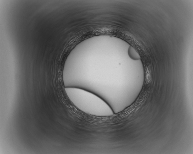 X0000116580819200912101307