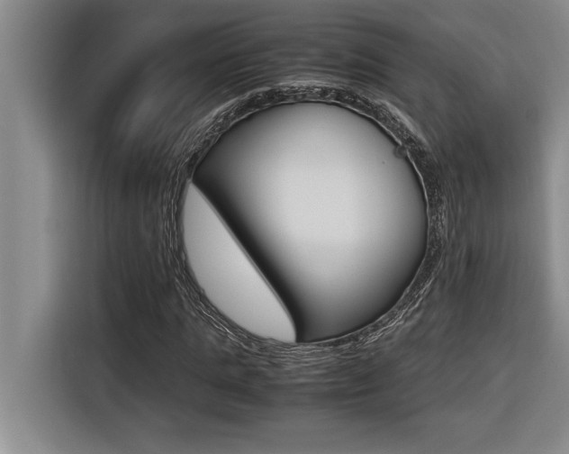X0000116580821200912101307