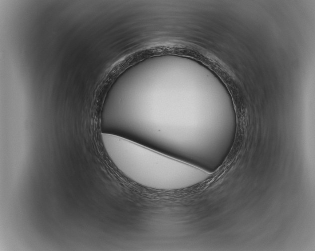 X0000116580822200912101307