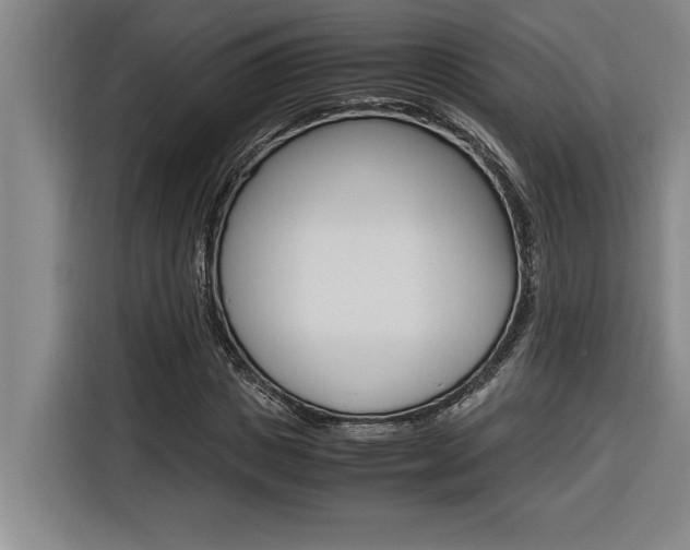X0000116580825200912101307