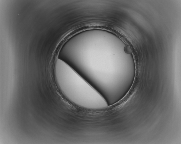 X0000116580829200912101307
