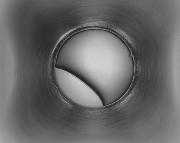 X0000116580830200912101307