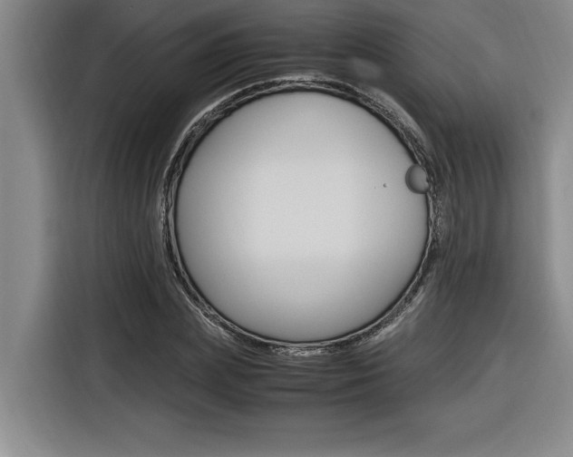X0000116580831200912101307