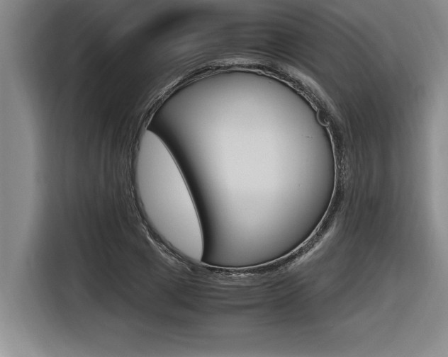 X0000116580833200912101307