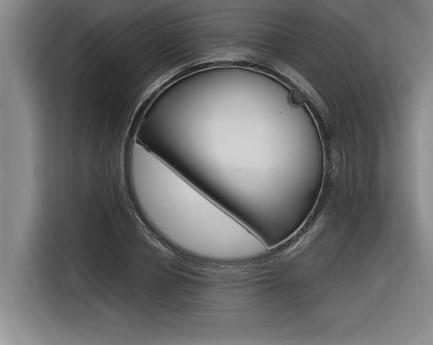 X0000116580834200912101308