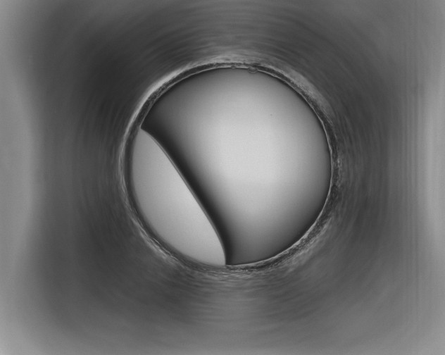 X0000116580838200912101308