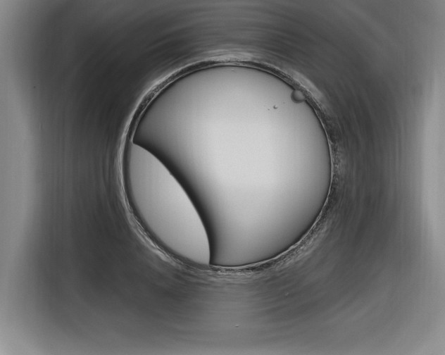 X0000116580840200912101308