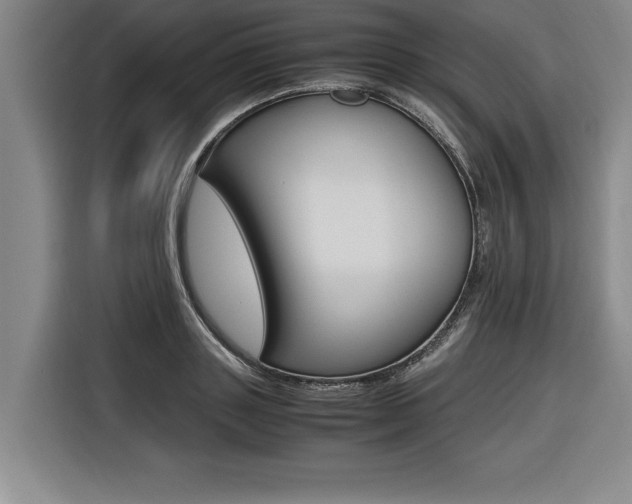 X0000116580843200912101308