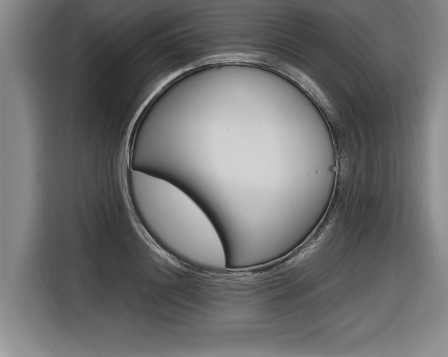 X0000116580844200912101308