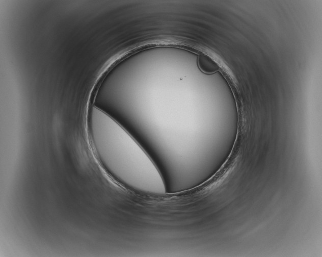X0000116580845200912101308