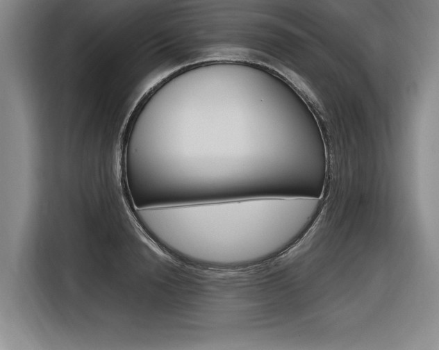 X0000116580846200912101308