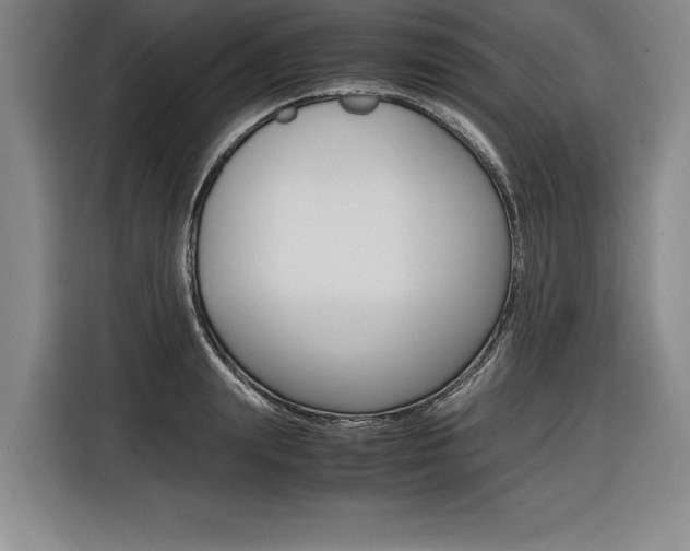 X0000116580847200912101308