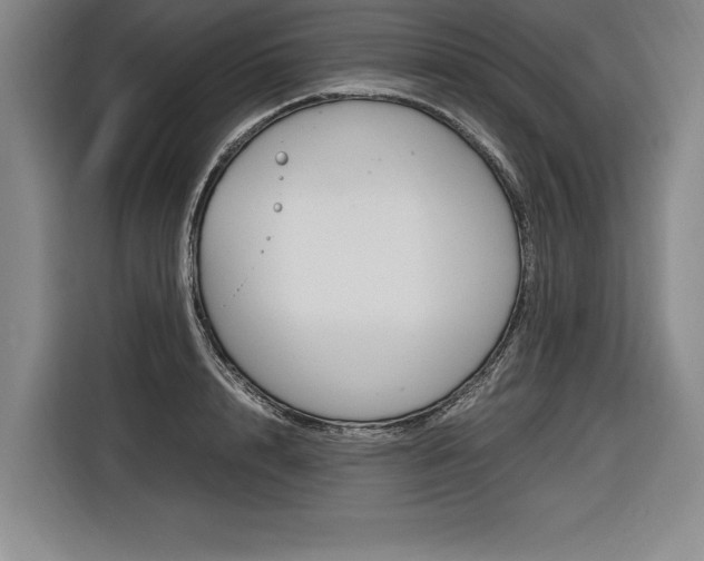 X0000116580848200912101308