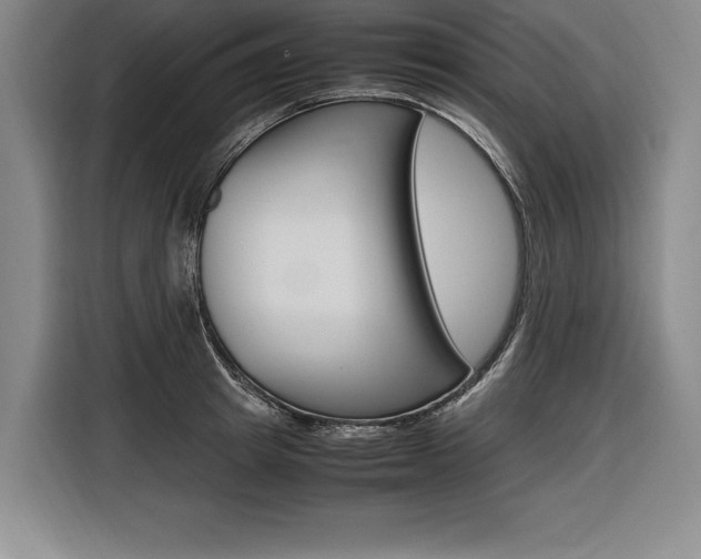 X0000116580849200912101308