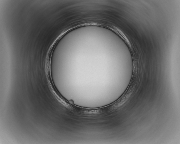 X0000116580851200912101308