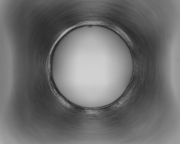 X0000116580852200912101308