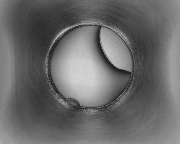 X0000116580854200912101308