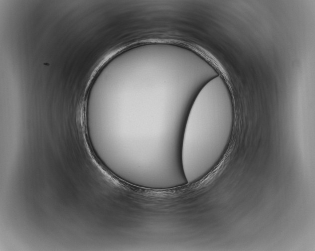 X0000116580855200912101308