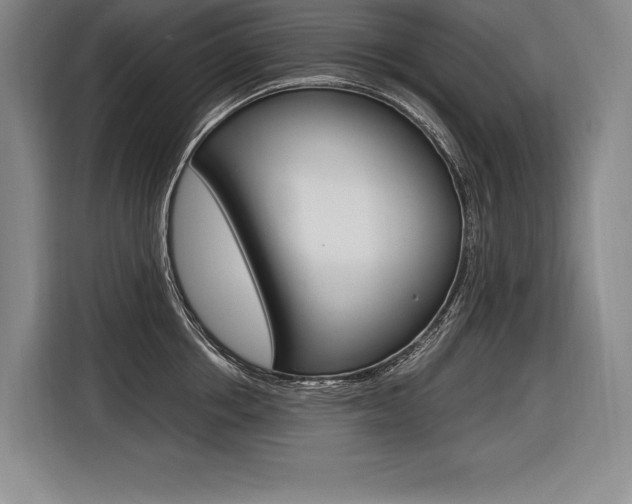 X0000116580858200912101308