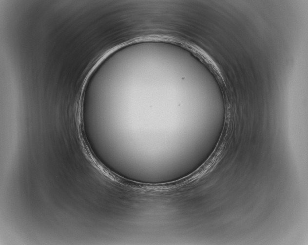 X0000116580860200912101308