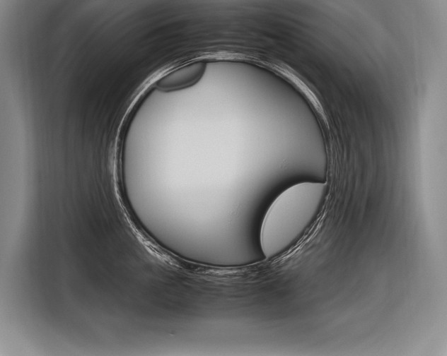 X0000116580861200912101308