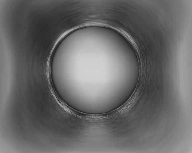 X0000116580862200912101308