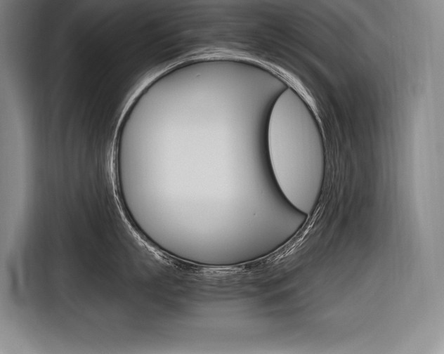 X0000116580863200912101308
