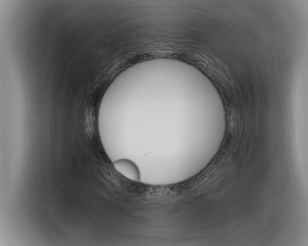 X0000116580866200912101307