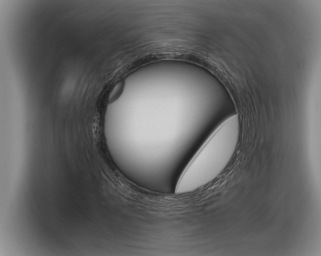 X0000116580867200912101307