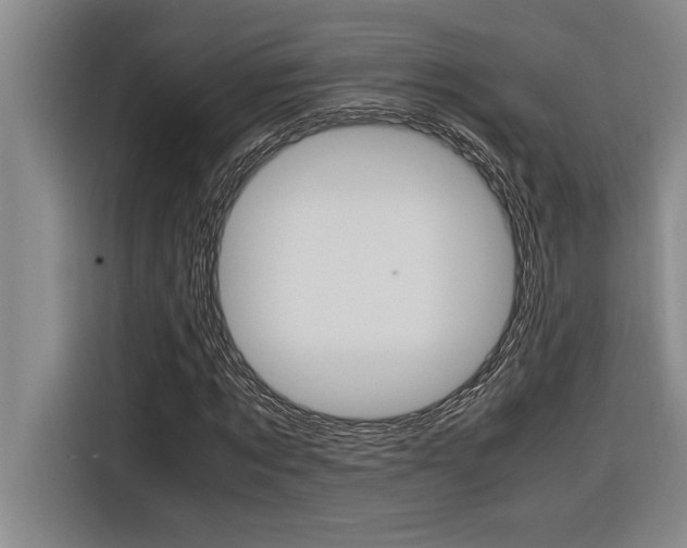 X0000116580869200912101307