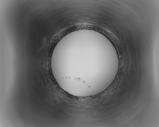 X0000116580870200912101307