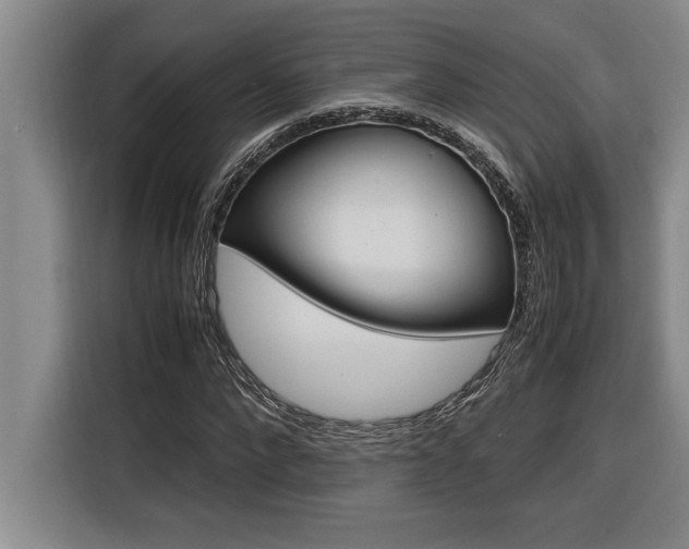 X0000116580872200912101307