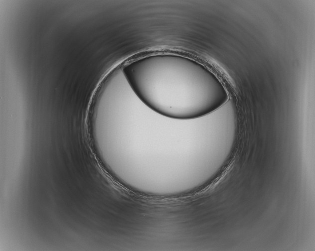 X0000116580876200912101307
