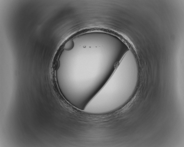 X0000116580879200912101307