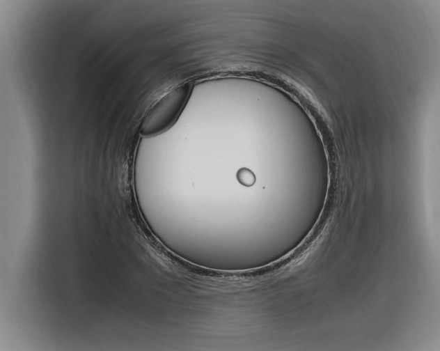 X0000116580881200912101307