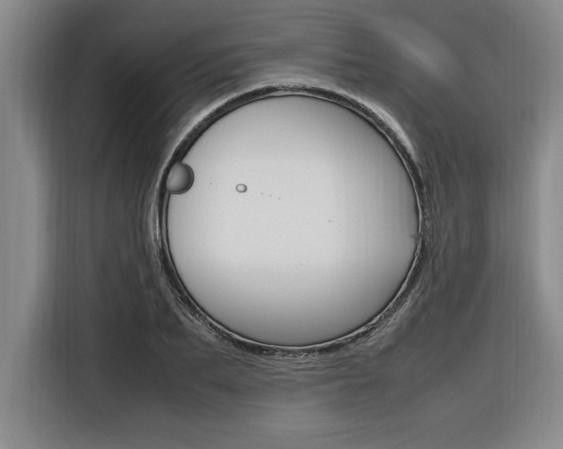 X0000116580887200912101307