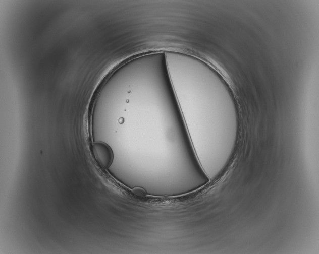 X0000116580891200912101307